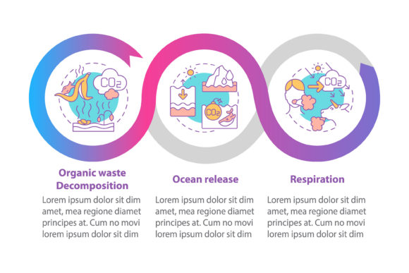 Natural CO2 Emissions Graphics for Infographics